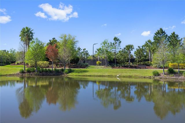 11414 JUGLANS DRIVE, Odessa, FL 33556