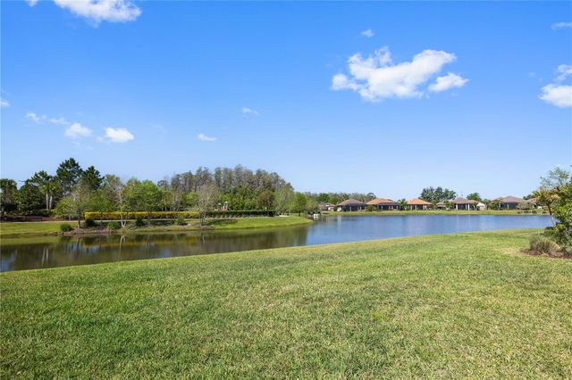 11414 JUGLANS DRIVE, Odessa, FL 33556