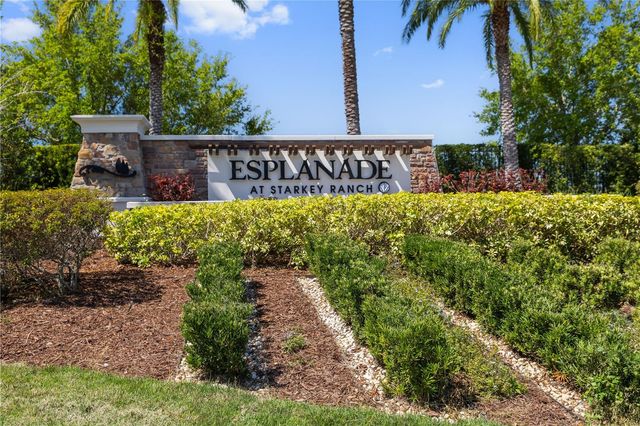 11414 JUGLANS DRIVE, Odessa, FL 33556