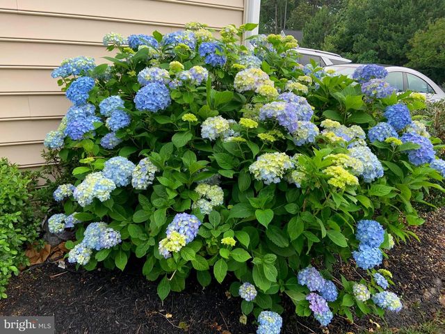 41218 GLOUCESTER DR, Rehoboth Beach, DE 19971