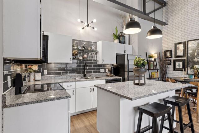 111 E Franklin Avenue 205, Minneapolis, MN 55404