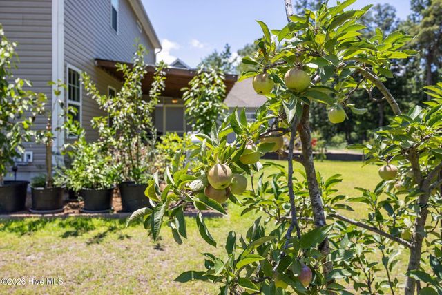 7165 Old Stump Drive SE, Leland, NC 28451