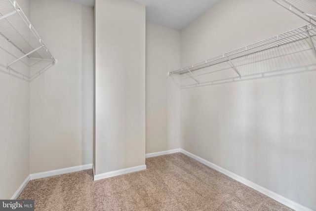 462 TILLER ST, Frederick, MD 21701