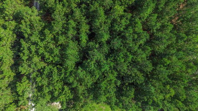 1308 Whitehouse Road, Summerville, SC 29486