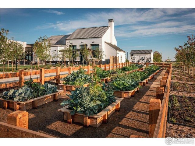 6429 Union Creek Dr, Loveland, CO 80538