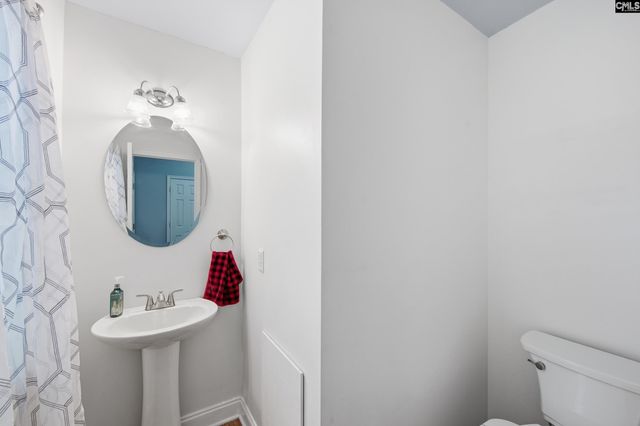 247 Winterberry Loop, Lexington, SC 29072