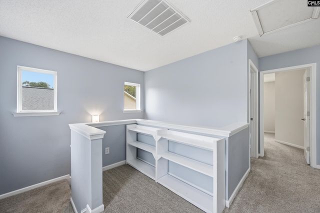 247 Winterberry Loop, Lexington, SC 29072