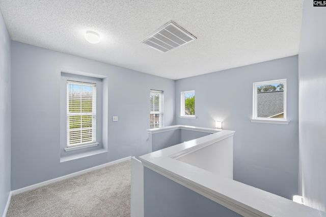 247 Winterberry Loop, Lexington, SC 29072