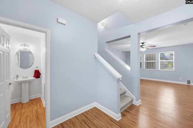 247 Winterberry Loop, Lexington, SC 29072