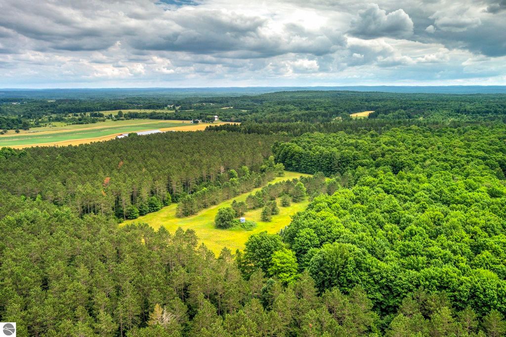 Image 10 of property listing at 00 Blackman Road, Kingsley, MI 49649