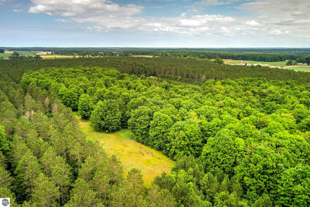 Image 13 of property listing at 00 Blackman Road, Kingsley, MI 49649