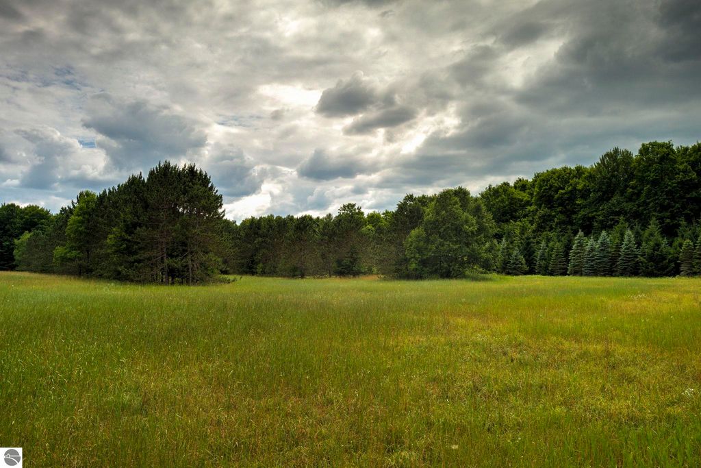 Image 15 of property listing at 00 Blackman Road, Kingsley, MI 49649