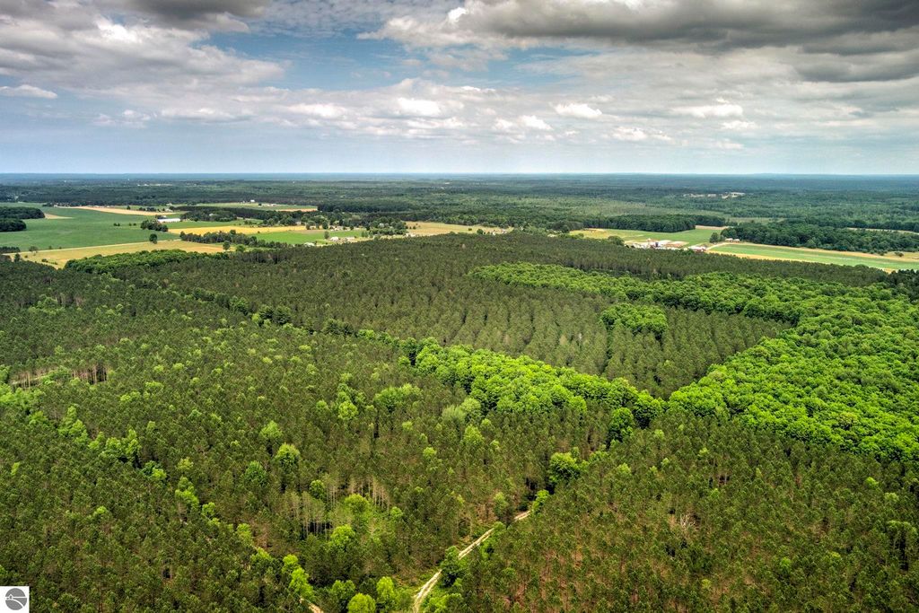 Image 19 of property listing at 00 Blackman Road, Kingsley, MI 49649