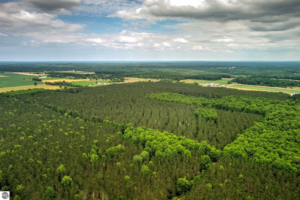 Image 20 of property listing at 00 Blackman Road, Kingsley, MI 49649