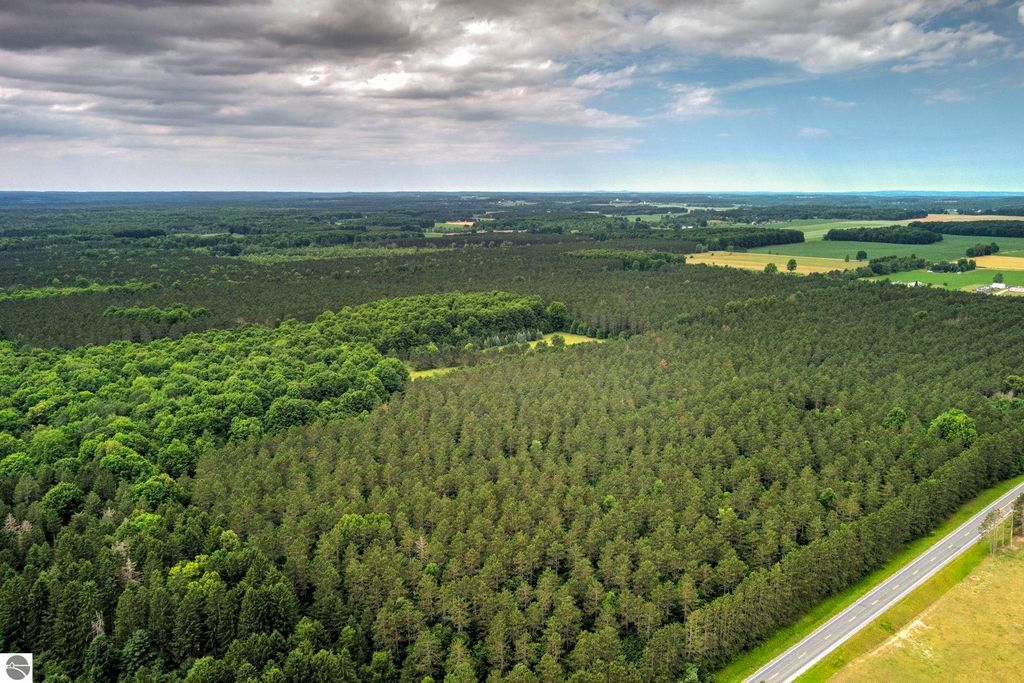 Image 21 of property listing at 00 Blackman Road, Kingsley, MI 49649