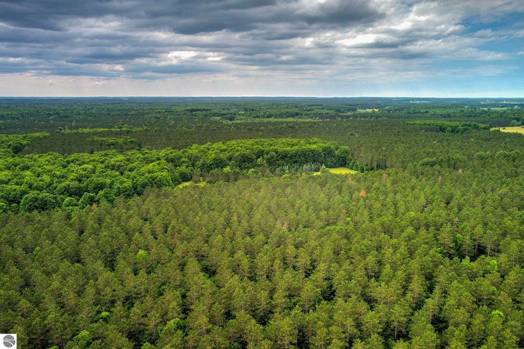 Image 22 of property listing at 00 Blackman Road, Kingsley, MI 49649