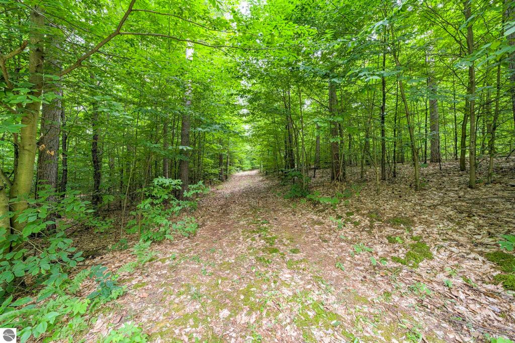 Image 7 of property listing at 00 Blackman Road, Kingsley, MI 49649