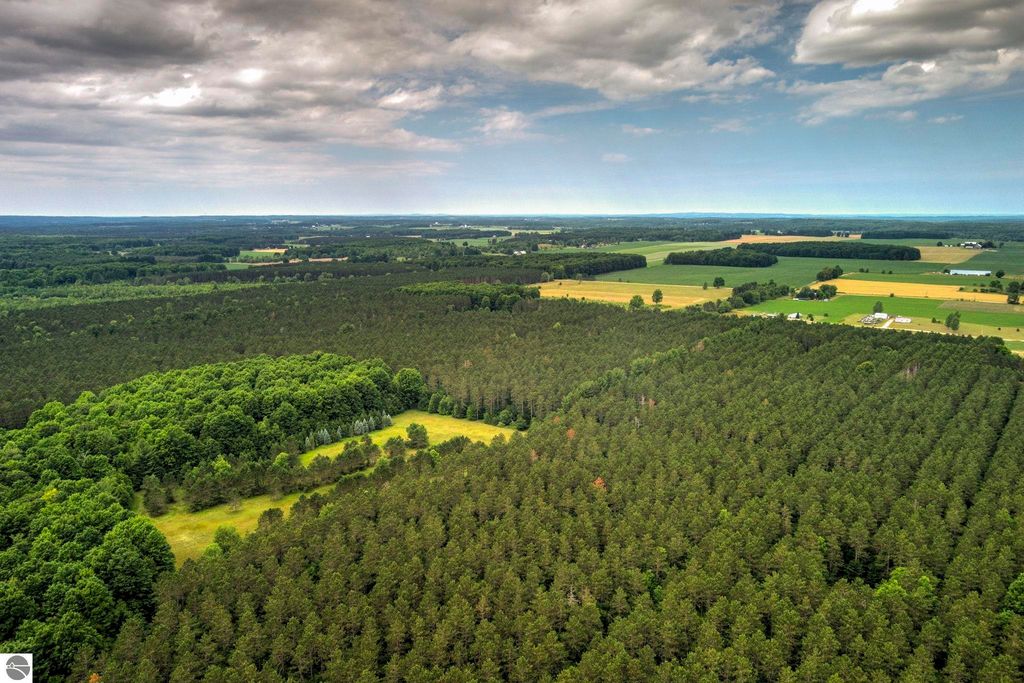 Image 8 of property listing at 00 Blackman Road, Kingsley, MI 49649