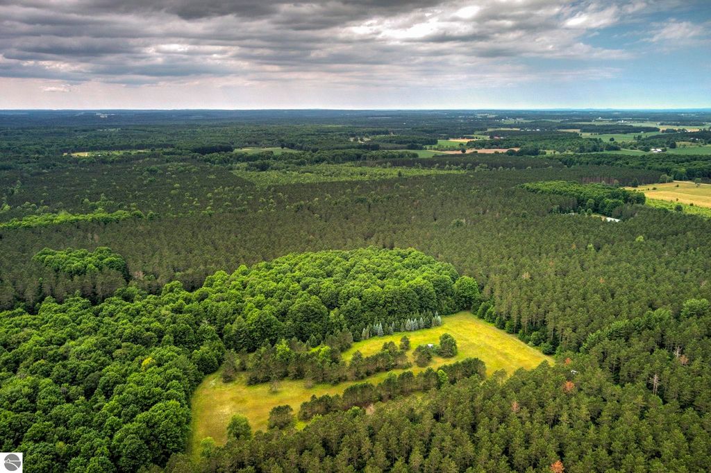 Image 9 of property listing at 00 Blackman Road, Kingsley, MI 49649