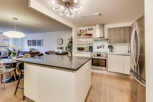 110 E Delaware Place 1002, Chicago, IL 60611