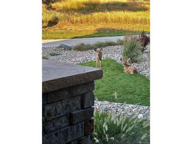 8436 Lost Reserve Ct, Parker, CO 80134