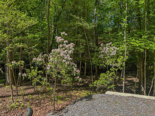 1254 Friendship Church Road, Murphy, NC 28906