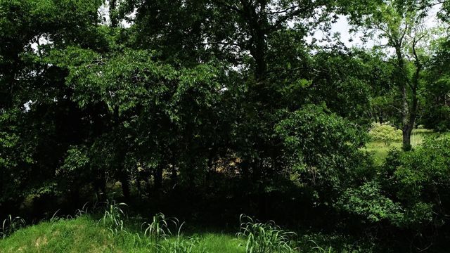 10615 Lebanon Rd, Mount Juliet, TN 37122