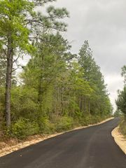 60 acres Sherman Kennedy Road, Baker, FL 32531