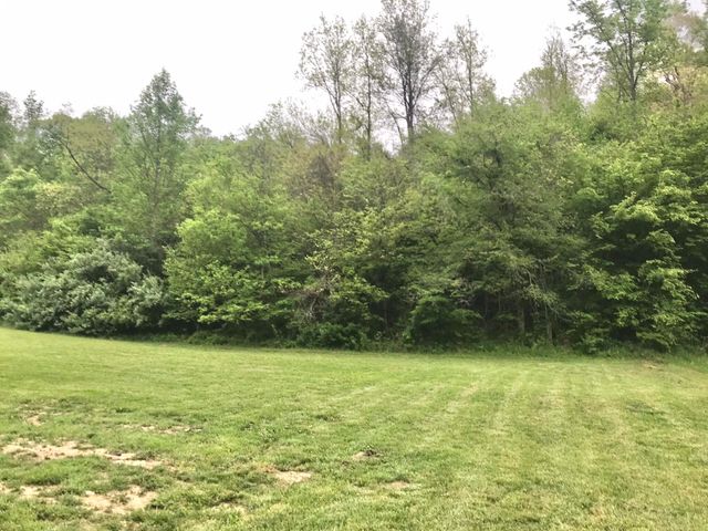528 Skaggs Drive, Martha, KY 41159