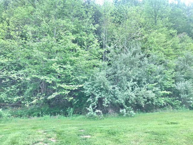 528 Skaggs Drive, Martha, KY 41159
