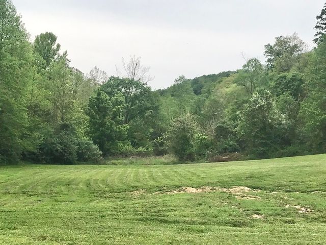 528 Skaggs Drive, Martha, KY 41159
