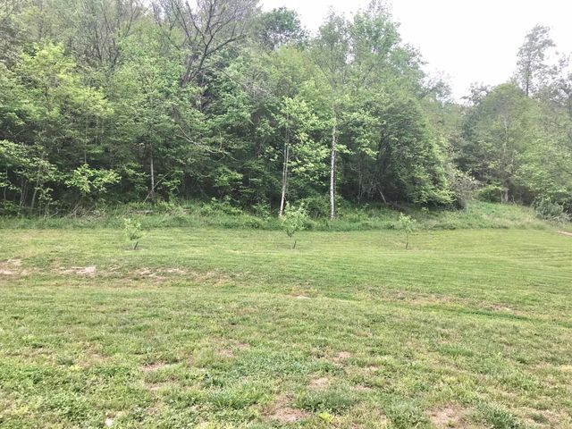 528 Skaggs Drive, Martha, KY 41159