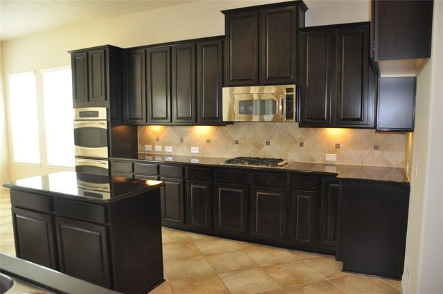 8161 Tranquil Lake Way, Conroe, TX 77385