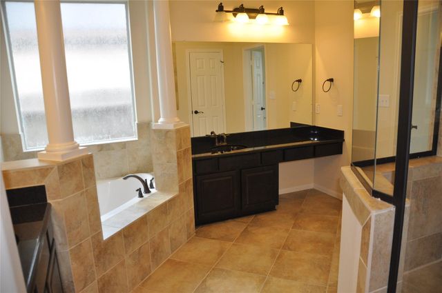 8161 Tranquil Lake Way, Conroe, TX 77385