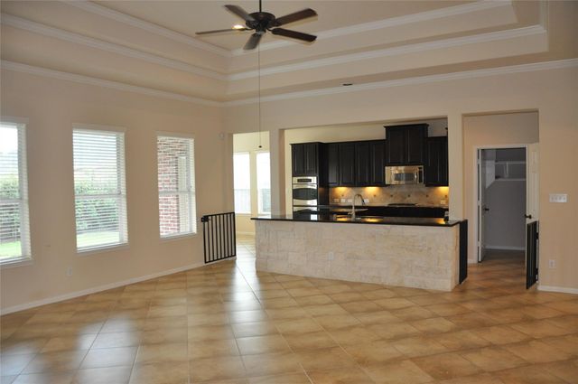 8161 Tranquil Lake Way, Conroe, TX 77385