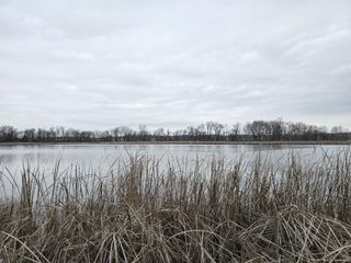 16 Angelfish Avenue, Avon, MN 56310
