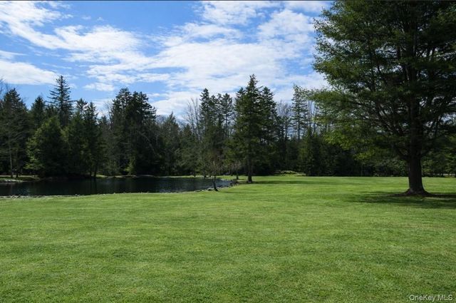 698 Cooley Road, Parksville, NY 12768