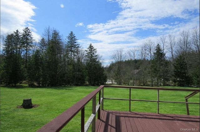 698 Cooley Road, Parksville, NY 12768