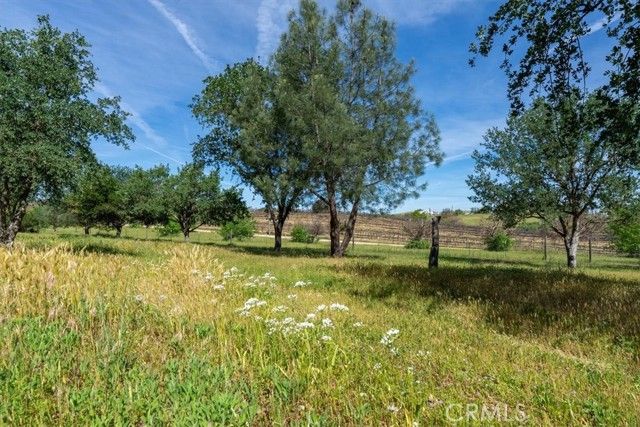 5685 Mustard Creek, Paso Robles, CA 93446