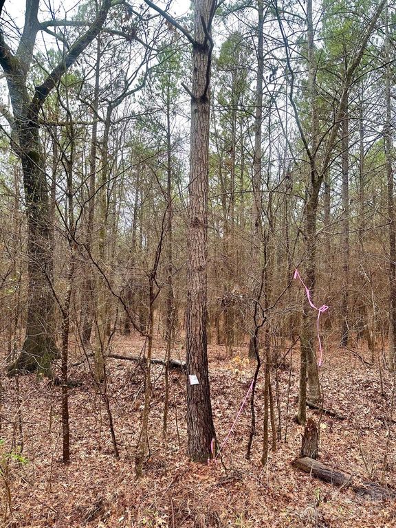 1176 Great Falls Highway, Chester, SC 29706