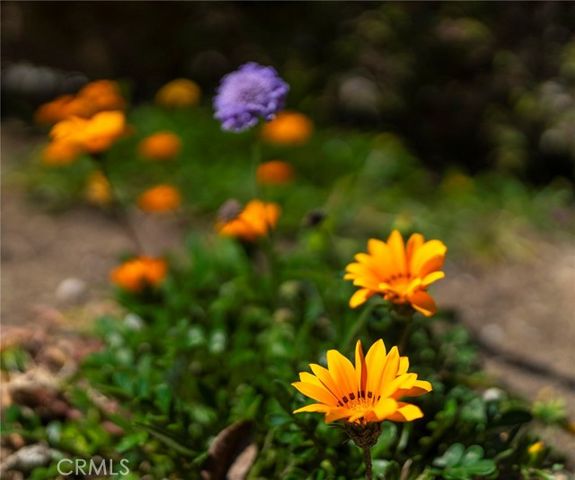 1916 W 231st Street, Torrance, CA 90501