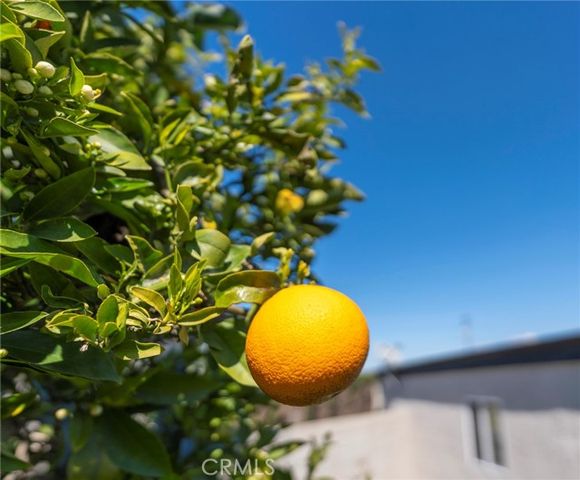 1916 W 231st Street, Torrance, CA 90501