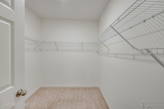 3524 Sandhill Crane Circle, Mims, FL 32754