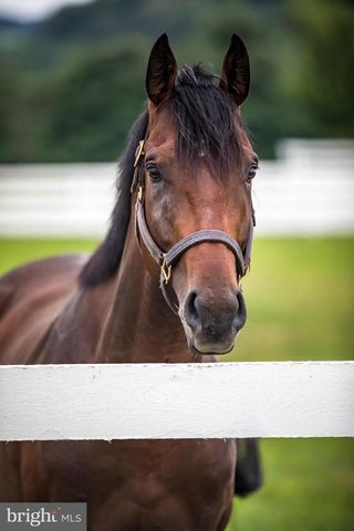 3366 BELMONT AVE, Glyndon, MD 21071