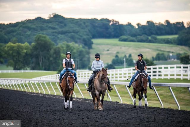 3366 BELMONT AVE, Glyndon, MD 21071