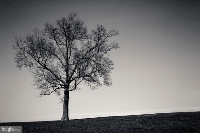 3366 BELMONT AVE, Glyndon, MD 21071