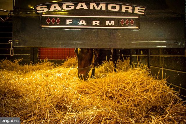 3366 BELMONT AVE, Glyndon, MD 21071