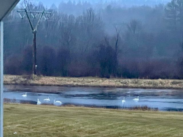 6 Lynbrook Rd, Southborough, MA 01772