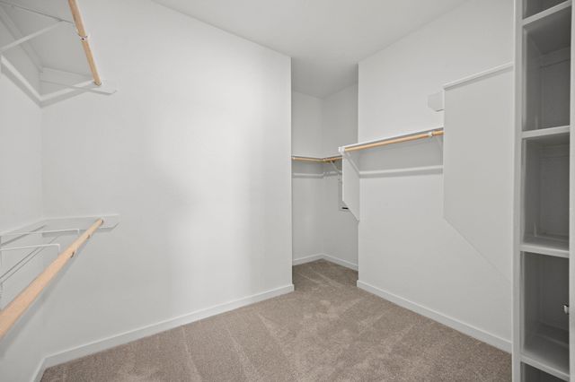 28947 Rustic Robin Lane, Hockley, TX 77447