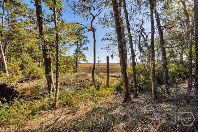 8 W London Hill Road, Woodbine, GA 31569